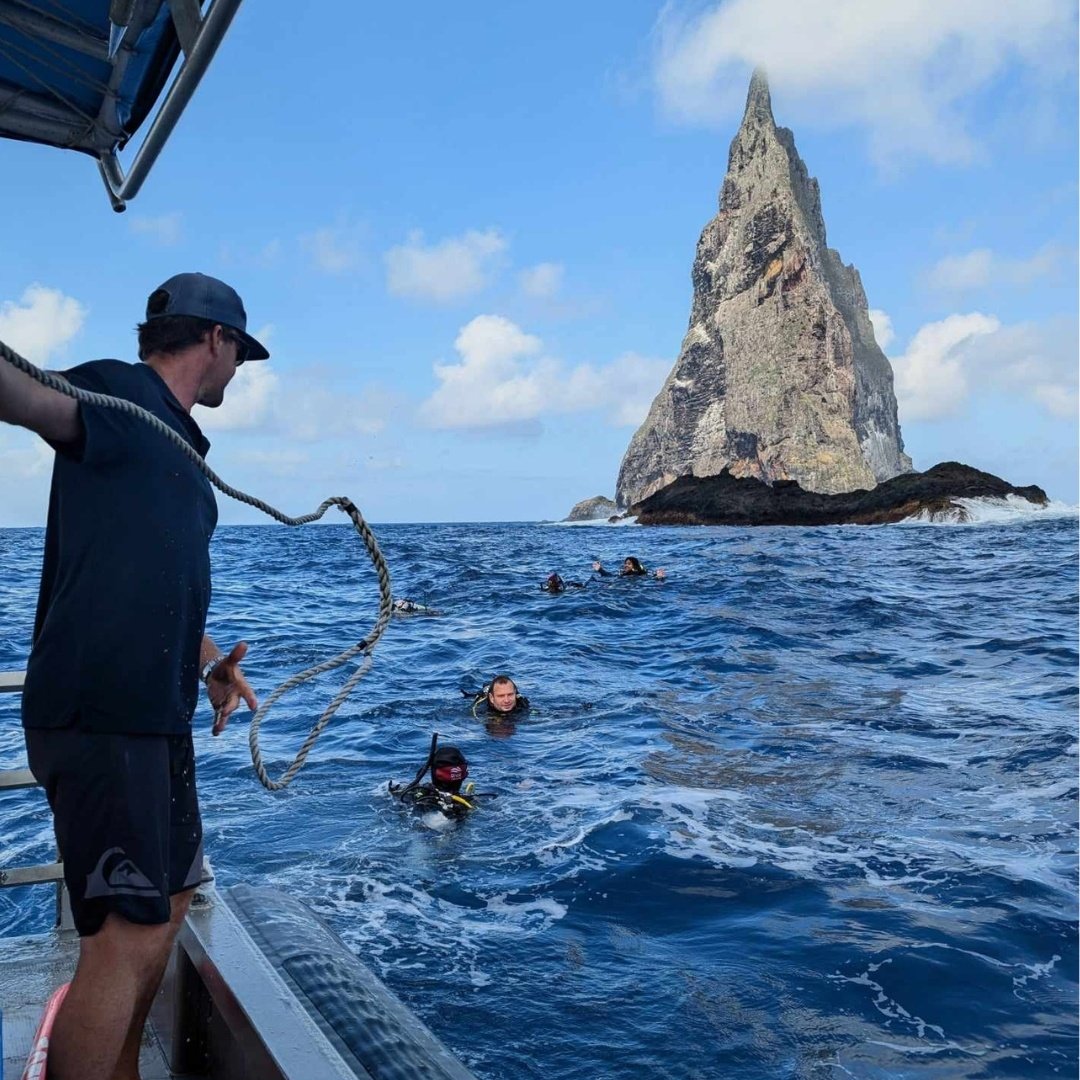 Diving at Ball's Pyramid