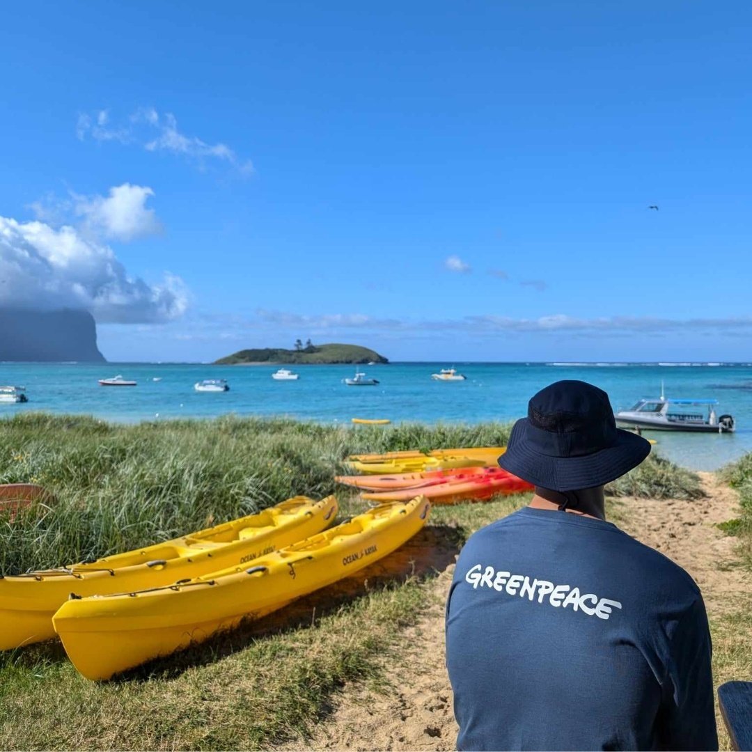 Greenpeace on the beach